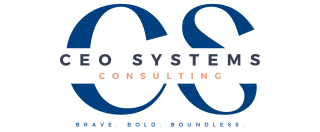 CEO Systems Consulting
